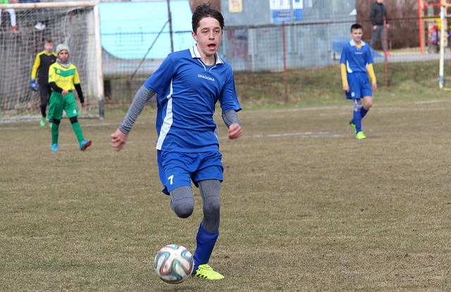 其中尤以 其中尤以